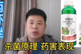 丙环唑：能与苯醚甲环唑混配，经作用，广谱、高效#剪映福利#视频封面