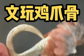 #文玩鸡爪骨 #文玩鸡爪骨制作流程介绍 这对再长两年就能成环！可惜了80万😂#公鸡中的战斗鸡 #公鸡中的战斗机欧耶 @贤子学堂 视频封面