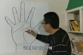 生命线的含义（一）；每天更新视频，共同破译掌纹密码