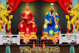 蟒大太爷蟒天龙视频封面