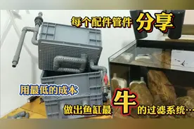 最低的成本，做最牛的鱼缸过滤箱！每个配件管件分享给挚爱的鱼友视频封面