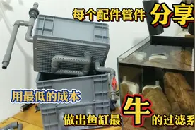 最低的成本，做最牛的鱼缸过滤箱！每个配件管件分享给挚爱的鱼友视频封面
