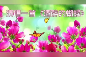 上联：山花烂漫翠鸟歌。诚邀：下联视频封面