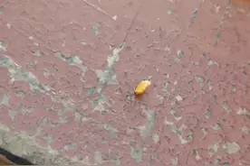 你都如此努力，我们还有什么理由不努力？