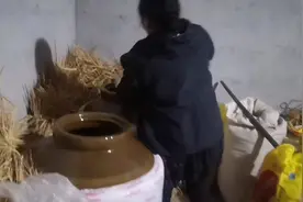 做米酒，米饭拌好酒曲入缸糖化，发酵半个月就能蒸馏出醇香的米酒