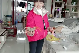 用漂亮的鸡毛给女儿做了个毽子，刚做好就试一下结果太好笑了