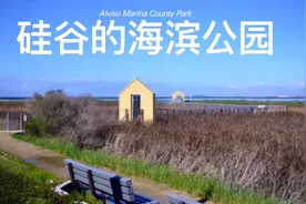 硅谷的古迹，阿尔维索海滨公园 Vlog视频封面