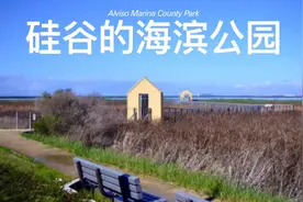 硅谷的古迹，阿尔维索海滨公园 Vlog视频封面