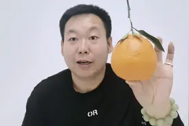 谜底揭晓！糖尿病人能不能吃丑橘？不知火丑桔很甜升糖高不高！视频封面