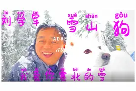 鹅毛大雪小白狗，《我爱你塞北的雪》歌天人狗四合一