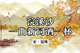 《浣溪沙•一曲新词酒一杯》原文加赏析视频封面