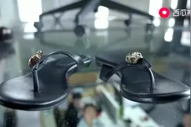 顾晓珺玉足甩下高跟鞋，穿着大拖鞋怒怼手下，看脚就知道是狠人！视频封面