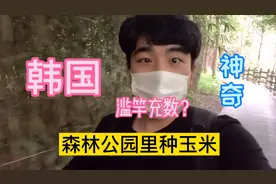 韩国农村不种地？为什么在植物园里种玉米？垃圾山改造的免费公园视频封面