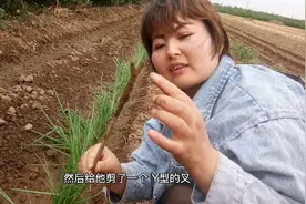 农村小媳妇发明栽葱神器，工具不花钱，栽葱效果翻倍。视频封面