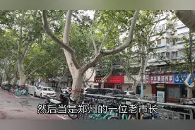 这种大树遍布郑州，公认为郑州的“市树”，却是让人欢喜让人愁视频封面