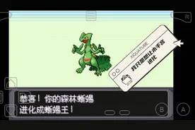 口袋妖怪刽矅之影攻略（    1    ）视频封面