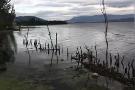 洱海（桃源村附近）拍照点实地探访，或看着一般，但拍了不会后悔视频封面