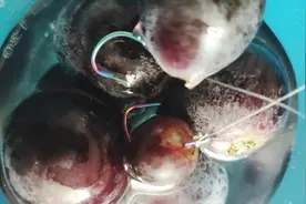 钓鱼技巧，葡萄挂钩，野钓青鱼好帮手！