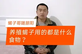 养殖蝎子用的都是什么食物？