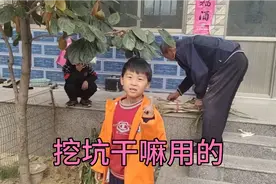 爷爷在院子里挖坑干什么用的？小孙子调皮竟然跳坑里去了视频封面
