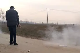 腊月三十早晨，家族的人到齐到村口“接竹子"，然后接回家供上。视频封面