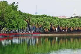 观广州流花湖公园，配一首《梦里水乡》曲，感觉置身于江南水乡中视频封面