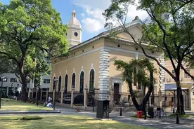 广州失业宅女的日常：面试完去逛沙面，游泳竟然在泳池发现一条蛇视频封面