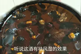 野生的黄蜂泡酒，可袪风湿，美容养颜你们喝过吗视频封面