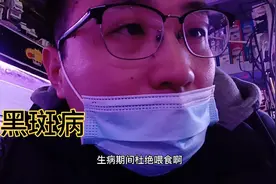 金鱼体表起黑斑是什么原因？怎么下去呢？视频封面