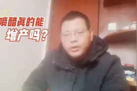 辣椒种植如何增产？菜农使用食醋溶液喷施，辣椒可增产30%左右视频封面