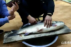 大鱼这样做，好吃，好保存，不会丢失鱼肉的鲜，欢迎评论！