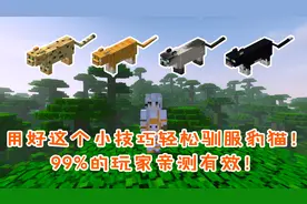 我的世界盘点：用好这个技巧轻松驯服豹猫！99%的玩家亲测有效！