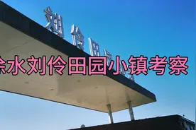 刘伶田园小镇考察农业项目视频封面
