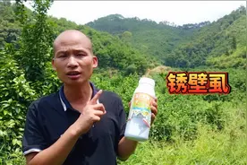 铲除柑橘锈壁虱，五月用药正是时候，做好防治工作预防毁容视频封面