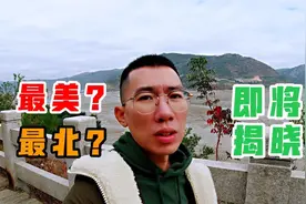 东北人第一次到福建就开眼了，霞浦的滩涂，北纬27°的古榕树群