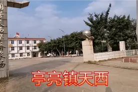 距离宁明县城二十几公里的亭亮镇，国营天西华侨农场视频封面