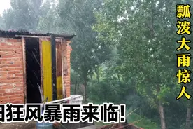 南阳多日高温，今天终于迎来雨神，大雨倾盆而下，降温解暑解旱情