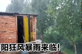 南阳多日高温，今天终于迎来雨神，大雨倾盆而下，降温解暑解旱情