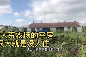 东北农场平房荒草丛生，无人居住，深入了解后分明就是向往的生活