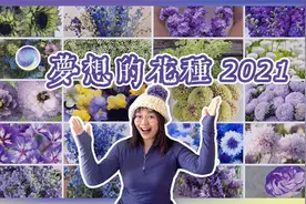 花园盛宴，30份种子的阳台育苗计划，梦想的花种2021视频封面