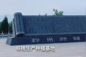 汾州核桃甲天下——“中国核桃之乡”山西汾阳，汾州核桃驰名中外视频封面