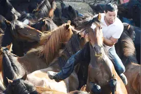这些美女太猛了！徒手掀翻野马 按倒在地就剪毛
