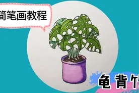 这样画龟背竹的叶子就不难了吧 练起来 你又会了一种花卉的画法视频封面