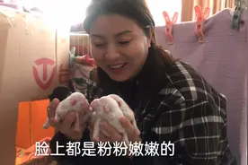 去养户家挑选比熊，居然发现有刚出生的小奶狗，来看看长什么样？