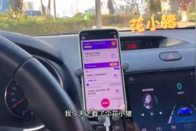 今天下载了个花小猪，单子比滴滴多