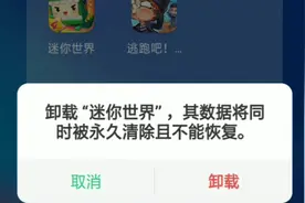 卸载迷你世界没有什么原因