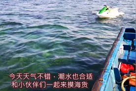 约上三五个好友下海摸海参，大哥海货全掉海里😂😂😂视频封面