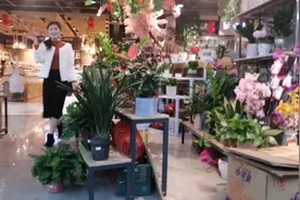 看到这些花，心情舒畅