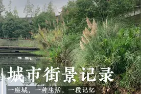 今天四川成都不知道发生了什么事，公园路口都被石墩栏杆拦住了