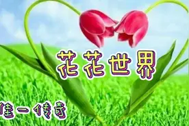 养好鸟巢蕨，不光四季常青观叶美，关键做成下酒菜，比燕窝不逊色